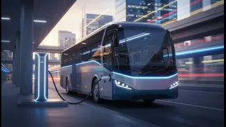 The Smart Response To Premium Electric Intercity Buses Is To Compare Journey Time, Stops And Cancellation Policies