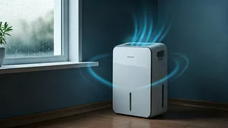 Your Home Needs This Monsoon Upgrade