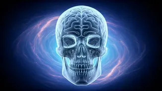 Space Brains: Microgravity's Strange Impact