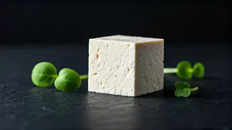 Indian Gen Z Needs This Protein-Rich Ingredient