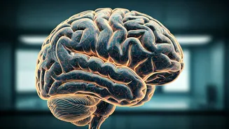 Aravinthan D T Samuel: The Mind Behind SmartEM Brain Mapping