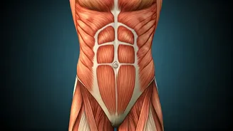 5 Essential Core Exercises for Women: Build Stability & Protect Your Back