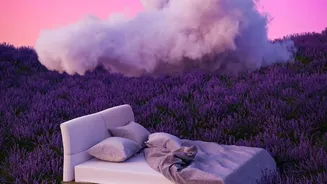 Scientists Can Now Ask How Much One Reset Mechanism Contributes to Sleep's Benefits