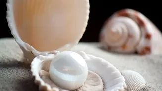 Clean, Dry Shells Reduce Odour and Mould Problems