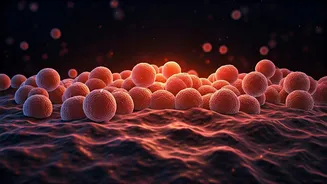 Prebiotics Explode In Popularity Across Elite Indian Fitness Circles