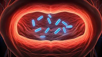 Beyond Fresh Breath: How Excess Mouthwash Could Secretly Raise Your Blood Pressure