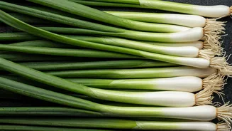 9 Spring Onion Delights to Savor!