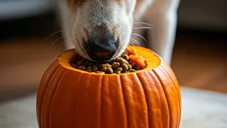 Pumpkin Puree Enrichment Toys Keep Stressed Indoor Dogs Entertained