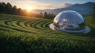 These Dreamy Tea Estate Geodesic Domes Are Trending On Feeds