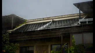 Does Rain Clean Solar Panels in India?