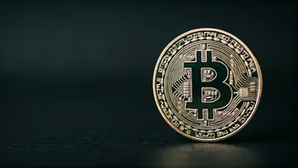 Crypto Cautious: Bitcoin's Stability Amid Market Sentiment