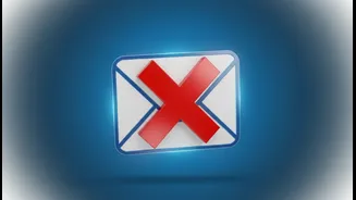 An Email from a Free Address Is a Warning Sign for Visa Support