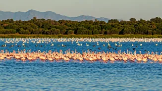 Related Stories banner