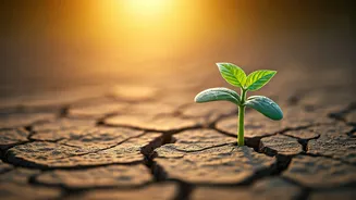 5 Japanese Wisdom Quotes for Kids: Navigating Challenges with Resilience & Confidence