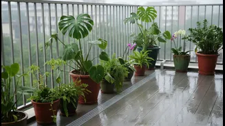 Balconies Need A Monsoon Health Reset
