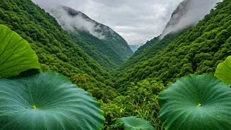 Monsoon Adventures Begin In North India's Secret Valleys