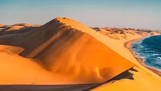The Qatar Desert-To-Sea Day Trip Highlights The Appeal Of Sand Dunes And Waterfronts