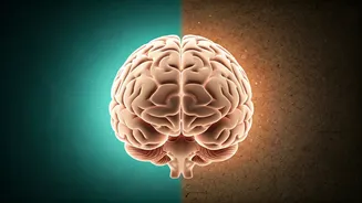 Your Brain May Be Older Than You Think