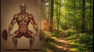 Strength Training And Walking Work Better As Partners Than Rivals