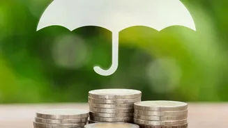 Managed Index Funds Offer Beginner Investors Under 25 Safer Returns Than Stock Picking