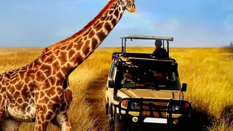 IRCTC Packages Wildlife Safaris Into Four-Night Maharashtra Trips