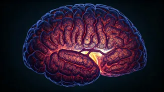 Are You Lacking Vitamin B12? Watch For Signs