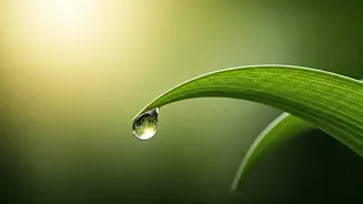 Cancer Horoscope: March 15-21, 2026 - Nurture Well-being & Harmonize Communication