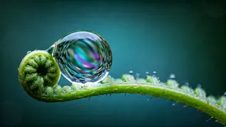 5 Profound Benefits of Chanting Om Namah Shivaya: Inner Peace & Spiritual Growth