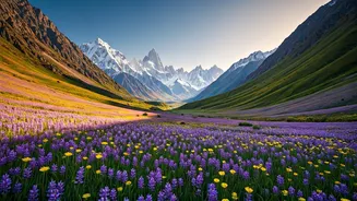 Peak Bloom Trips Have Entered The Wishlist
