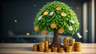 SIPs Are Becoming India's Wealth Habit