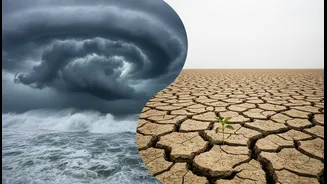 India's Weather And El Niño: The Pacific Connection Explained