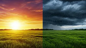 Parents Need To Watch Rain And Heat Alerts