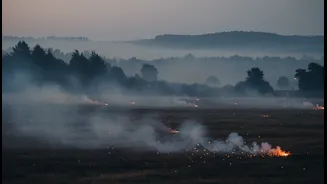 Fireworks Residue Could Travel Beyond Display Sites, Researchers Say