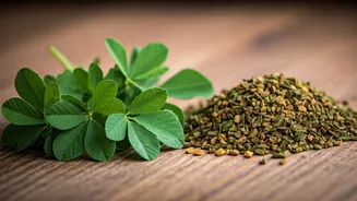 Fenugreek Leaves Make Homemade Food Feel Richer