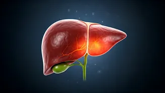 Sleep & Liver Health: New Study Reveals Risks