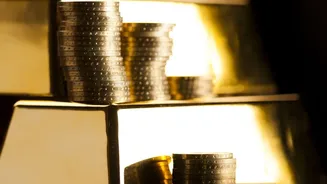 Overseas Market Remittances Grow as Indian Investors Broaden Asset Choices