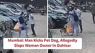 Caught On Cam: Man Kicks Pet Dog, Allegedly Slaps Woman Owner In Mumbai's Dahisar; Case Registered