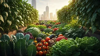 Rooftop Vegetable Patches Challenge Mainstream Commercial Industrial Farming Supply Chains