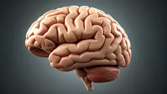 Stay Sharp: 5 Habits for a Healthy Brain After 40