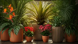 Grow Tropical Charm Without A Full Garden