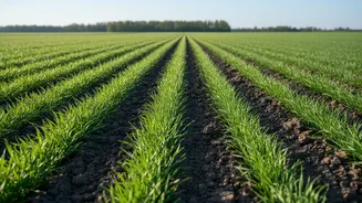 The News Around India's New KCC Impact Estimate Makes Farm-Value Calculations Worth Checking
