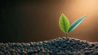 5 Sustainable Habits for Remarkable 36 Kg Weight Loss