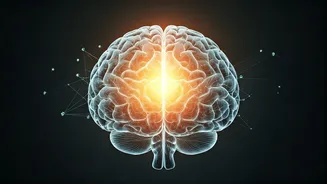 Related Stories banner