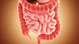 Vitamin D Deficiency: A Silent Crisis in India