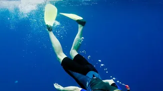 How underwater attractions can help turn a domestic trip into an experience-led holiday