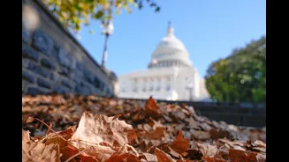 Millions face flight delays and cancellations during Thanksgiving amid shutdown, US White House warns