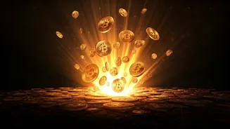 Crypto's Rise: From $2.6B to $15B – A Look at Market Growth