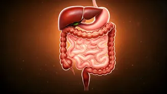 India's Gut Health Obsession Explained