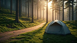 Escape Tourists Inside Quiet Campsites Tucked Away In Jibhi