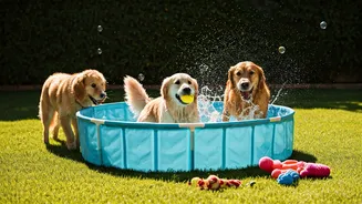 Community Groups Organize Neighborhood Pet Pool-Party Playdates This Week
